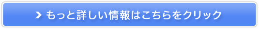 H[̔TCg
